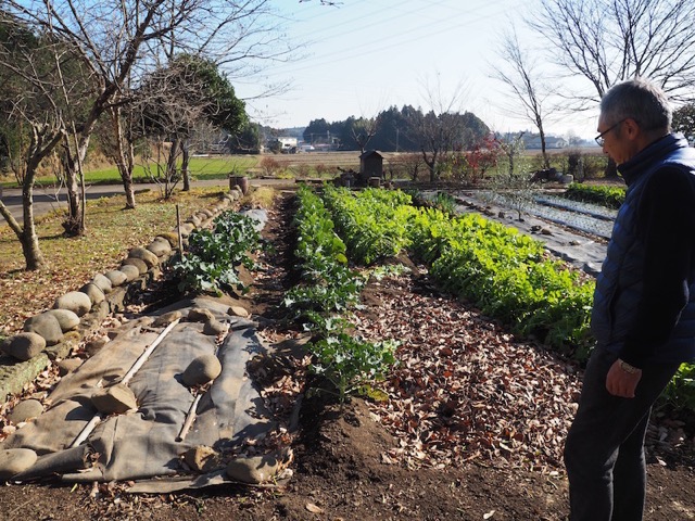 自宅菜園もかなりの充実野菜