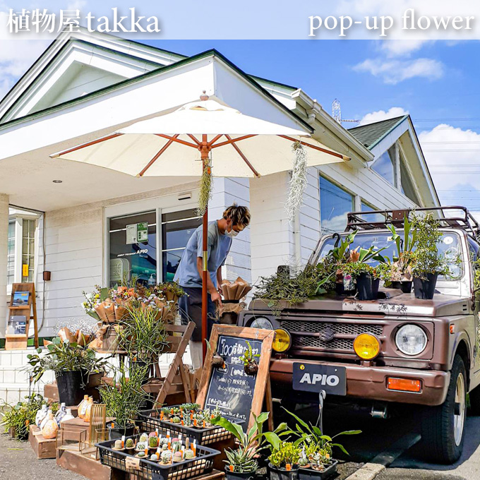 【11.27】植物屋takka「pop-up flower」in アピオ 【11.27】植物屋takka「pop-up flower」in アピオ